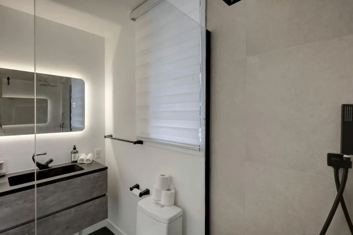 Exclusive Loft Living In The Heart Of Montreal Zh7 Apartment 0*,